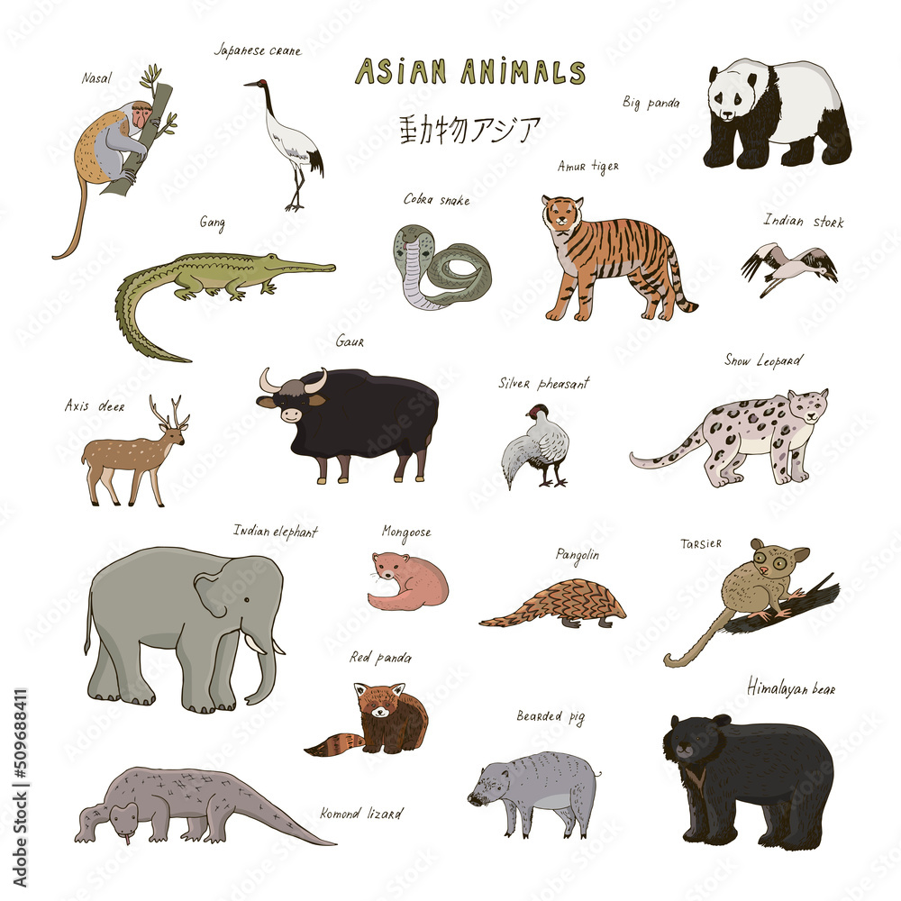 Fototapeta premium Asian animals elephant, panda, leopard, bear, tiger vector illustrations set