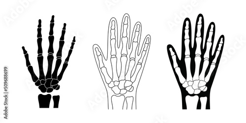 Set of hand skeleton with bones. Black arm silhouette vector illustration