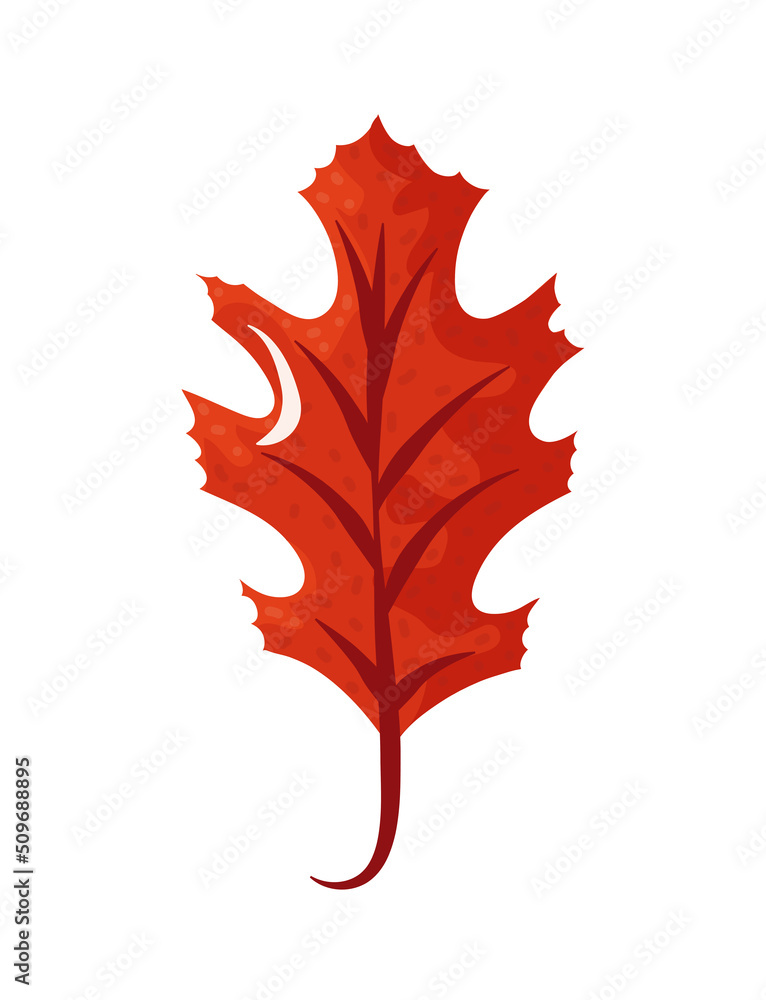 autumn leaf flat icon autumn leaf flat icon