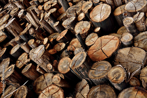 Pilha de madeiras   troncos de arvores empilhados