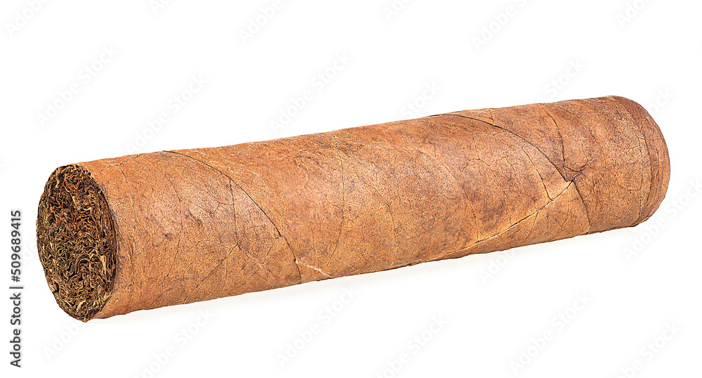 Brown cigar isolated on a white background. Cigar made with real tobacco leaves.
