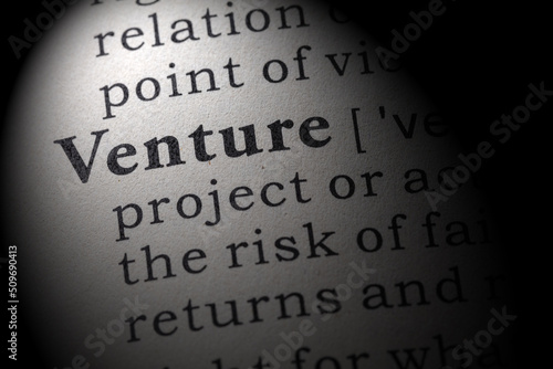 definition of Venture