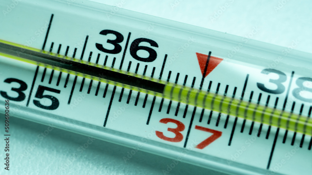 thermometer with scale on white thermometer with scale on white