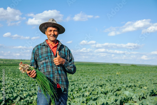 happy senior Farmer looking at camera are holding an armful of green onions just cut from the garden. male worker with thumb up with hat work in agricultural field, front view photo