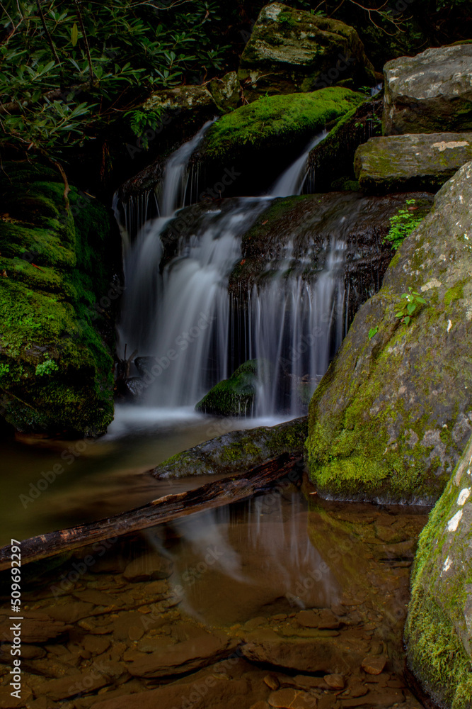 waterfall in the forest waterfall in the forest