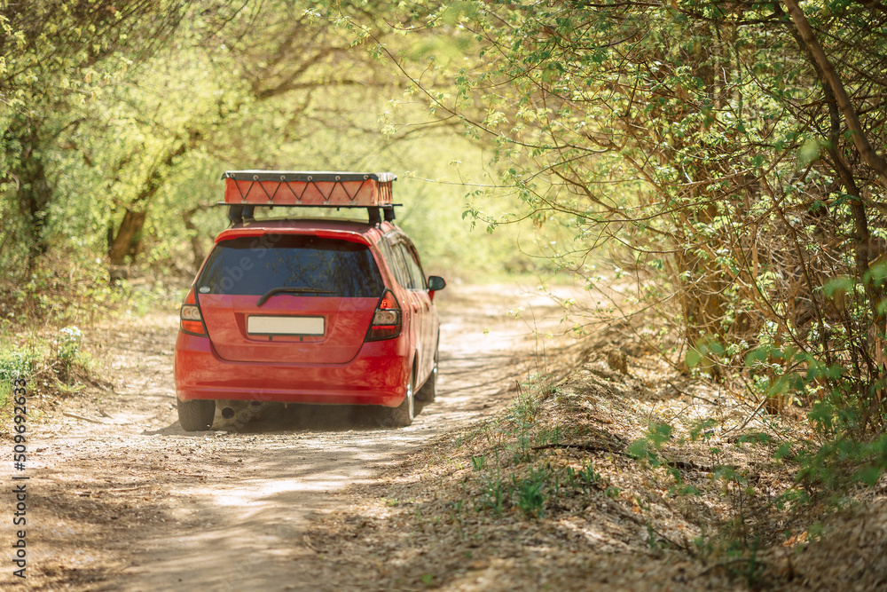 Red car drives along forest road on sunny spring day. View of countryside road with auto going into distance. . High quality photo Red car drives along forest road on sunny spring day. View of countryside road with auto going into distance. . High quality photo