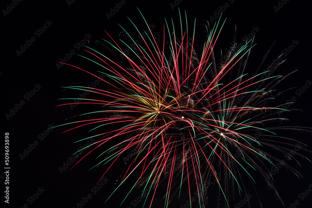 fireworks in the sky