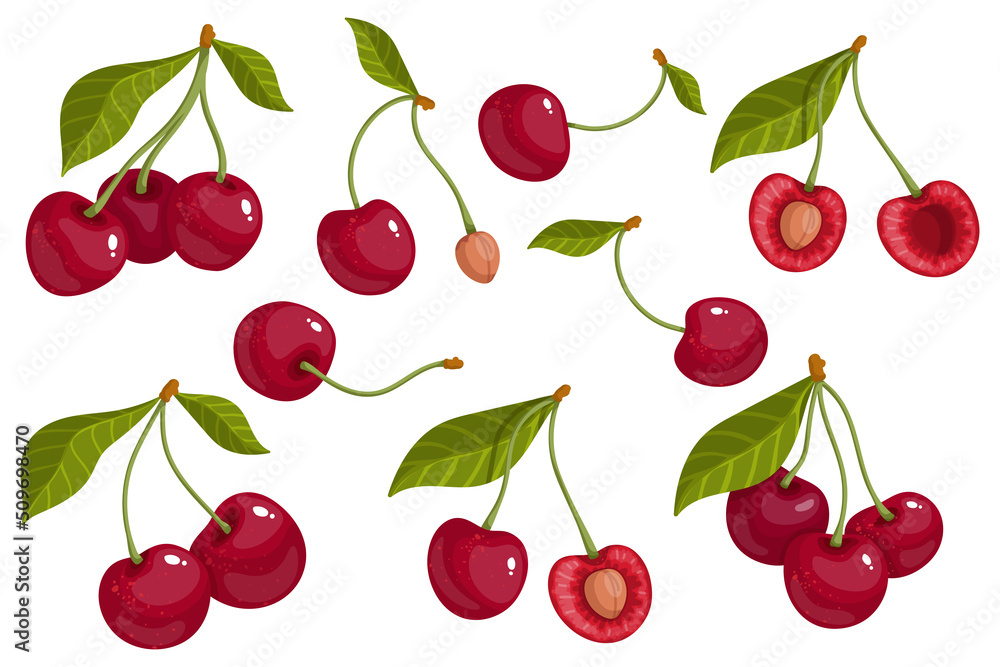 Set of summer ripe cherries.Cartoon vector graphics. Set of summer ripe cherries.Cartoon vector graphics.