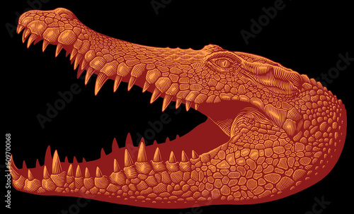 Crocodile with open mouth. Editable hand drawn illustration. Vector vintage engraving. 8 EPS photo