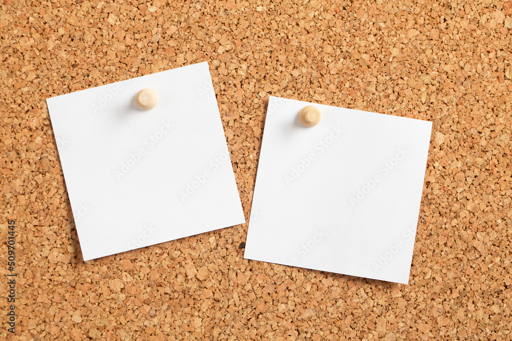 Blank White Paper on Corkboard Blank White Paper on Corkboard