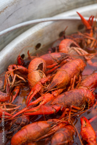 Spicy Boiled Crawfish in a Pot