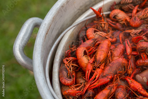Spicy Boiled Crawfish in a Pot