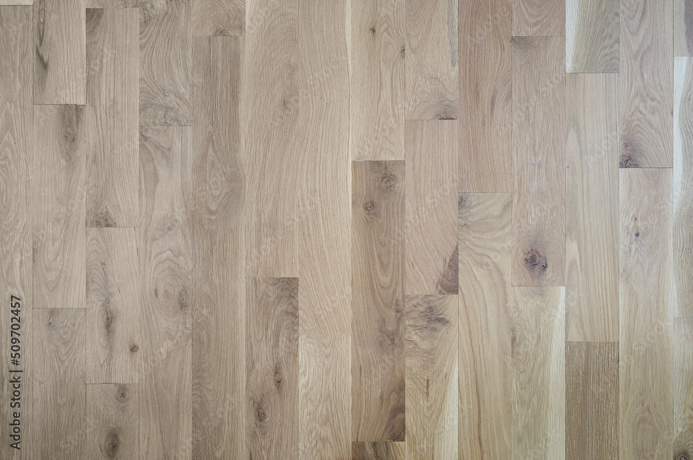 Natural solid oak wood flooring Stock Photo | Adobe Stock