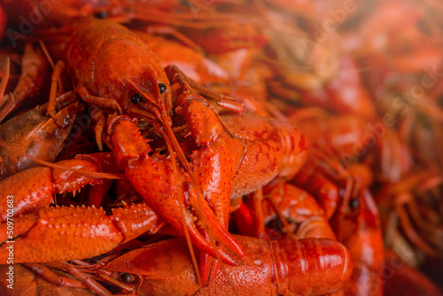 Spicy Boiled Crawfish