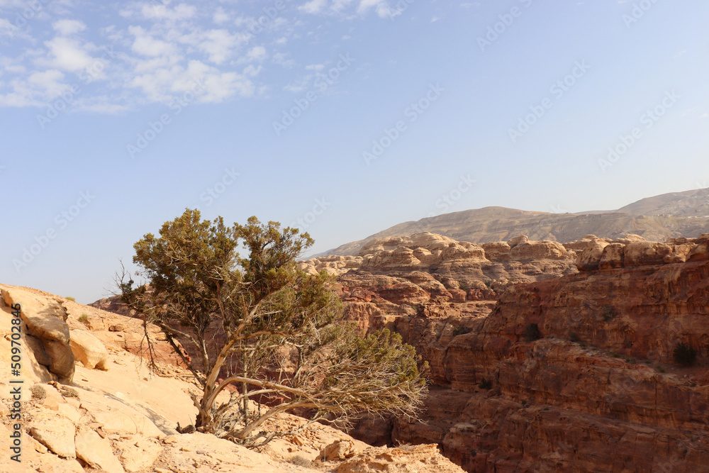 Fototapeta premium Petra city in Jordan (Nabateans city) rocks and landmarks