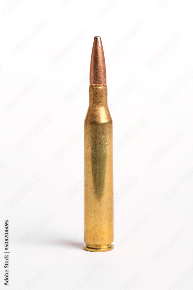 Rifle Bullets on a White Background Rifle Bullets on a White Background