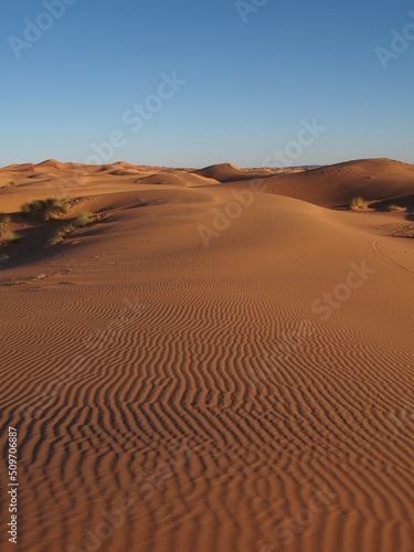 Dunes dans le désert du Sahara, Maroc