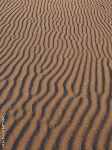 Les stries du sable formées par le vent dans le désert du Sahara