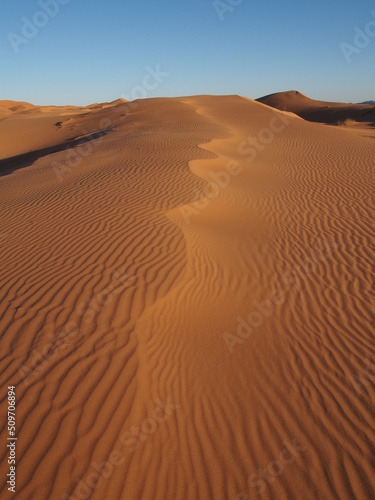 La crète d'une dune dans le désert du Sahara