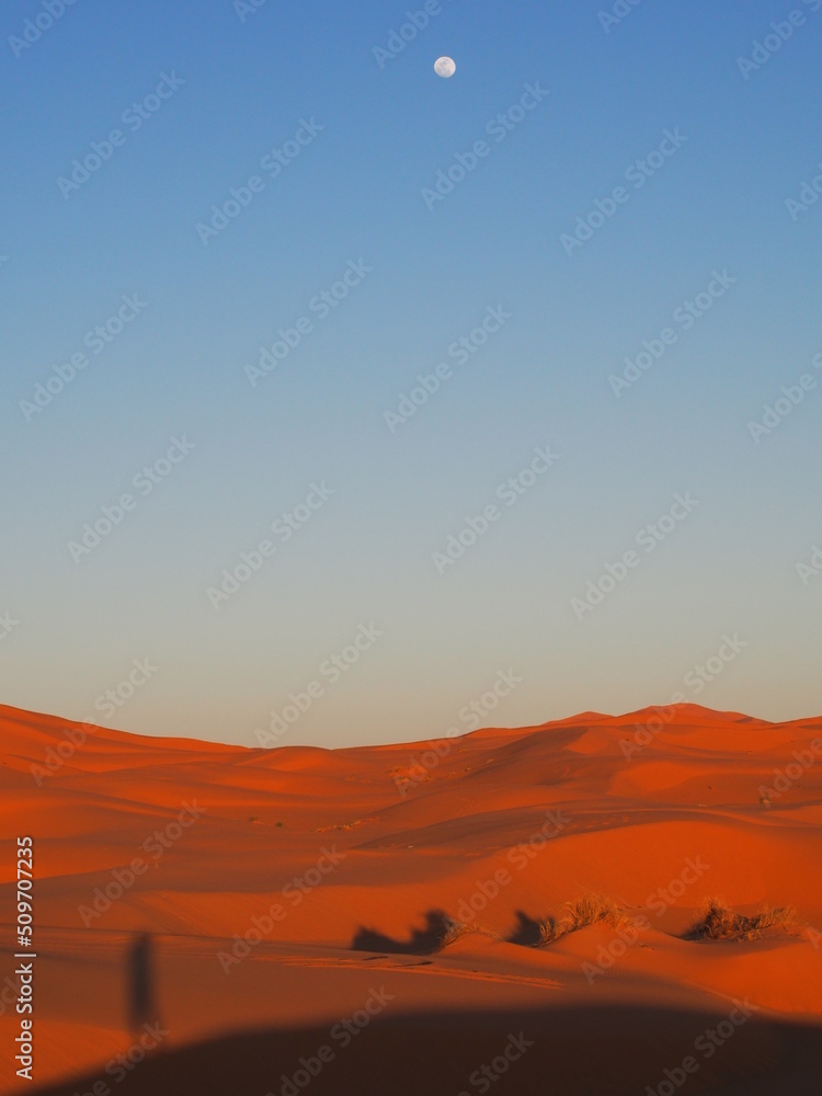 Vue des dunes dans le désert du Sahara au couché de soleil