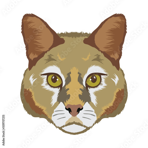 Jungle cat vector illustration, perfect for tshirt design and mascot logo
