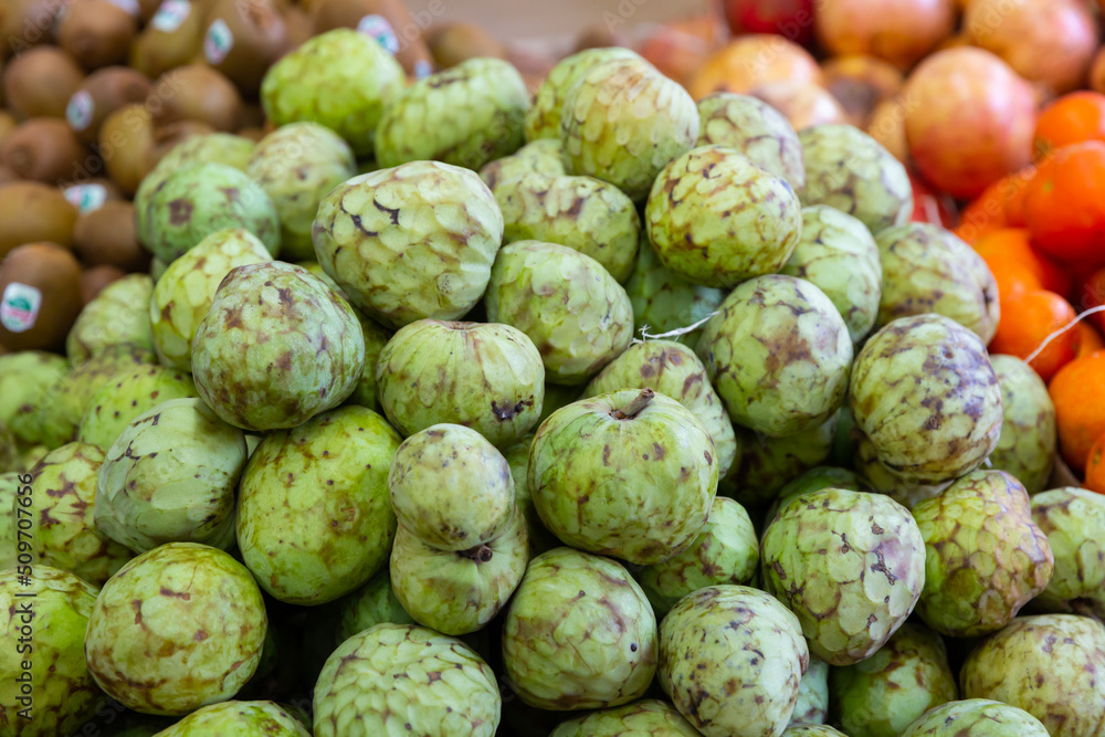 Obraz premium Many of fresh juicy cherimoya, put up for sale on the counter. Close-up image