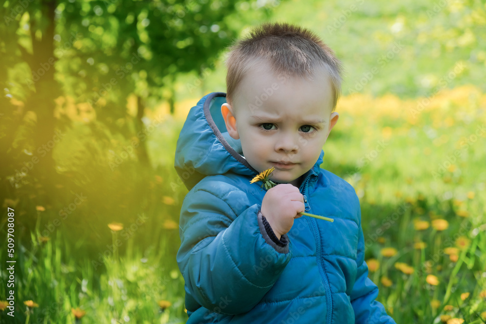 Portrait of cute little boy holding dandelion in his hand. Adorable 2 years old toddler boy with spring flower outdoors. Portrait of cute little boy holding dandelion in his hand. Adorable 2 years old toddler boy with spring flower outdoors.