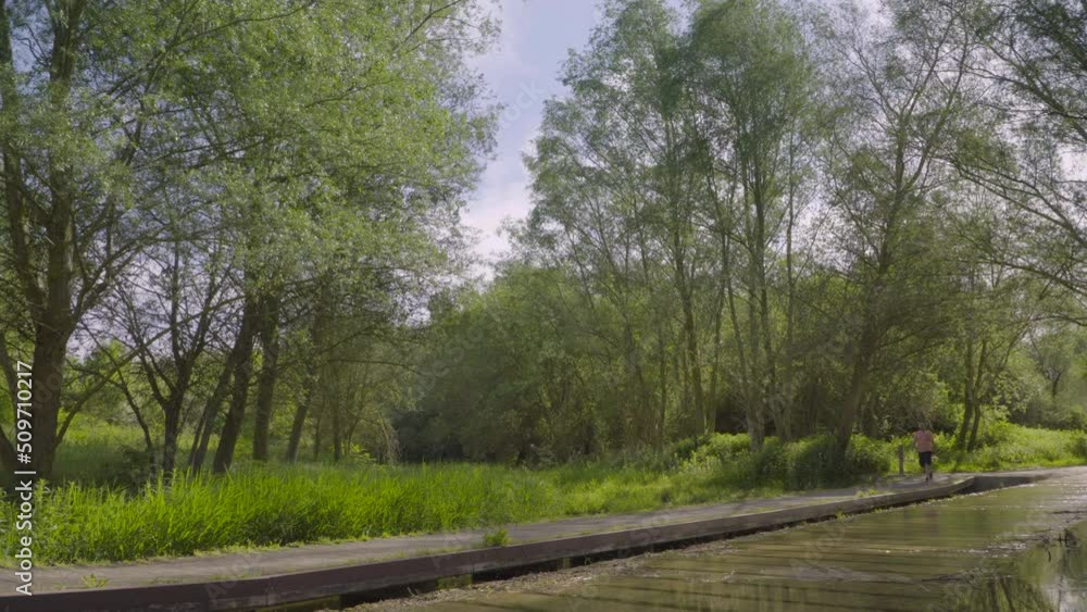 Wide shot of a man walking along a path in the spacious Salburua Wetlands. Wide shot of a man walking along a path in the spacious Salburua Wetlands.