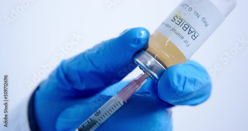 Veterinarian in sterile rubber gloves holds a syringe with a needle and glass vial of rabies vaccine, filling it, close up. Regular vaccination for animals in a veterinary clinic photo