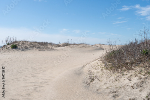 Dry grass sits atop several dunes  their roots clinging onto the shape shifting sand mounds founds along the costal shore