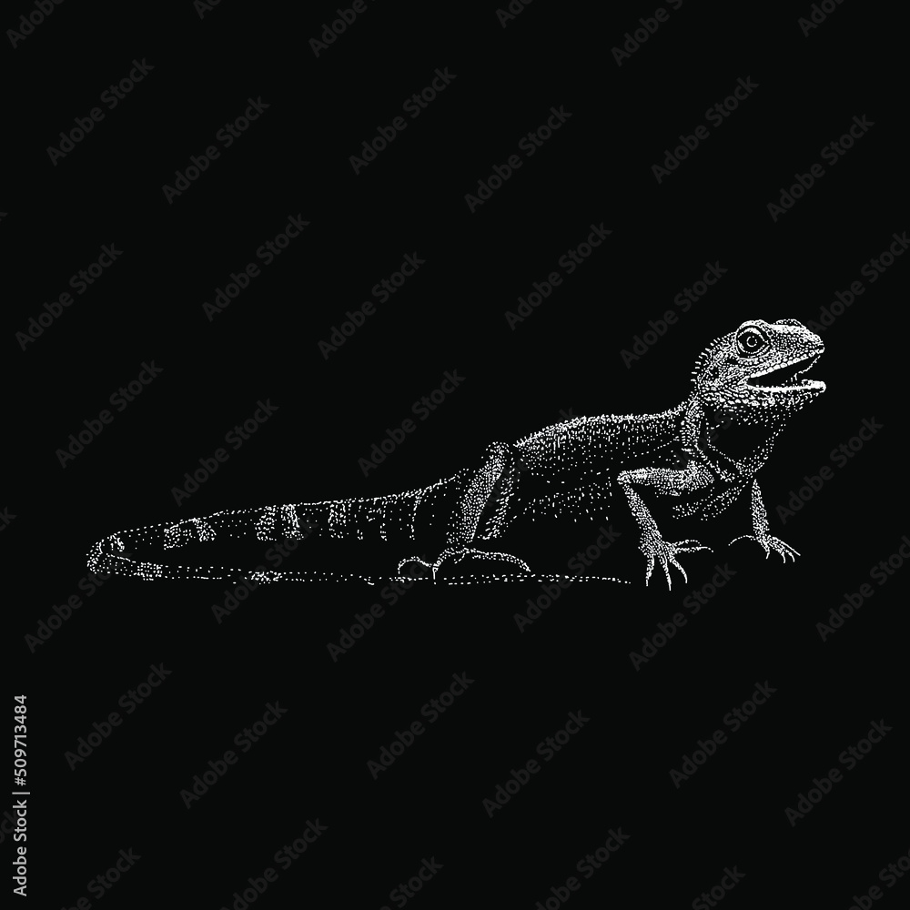Water Dragon hand drawing vector illustration isolated on black