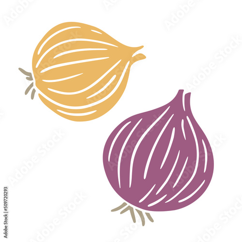 Yellow and red onion bulbs isolated on white photo