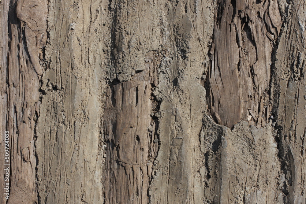 Raw File High Resolution Wood textures for background Raw File High Resolution Wood textures for background