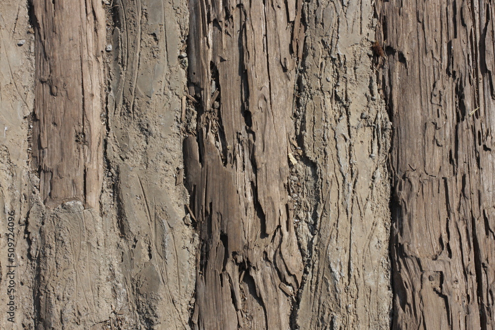 Raw File High Resolution Wood textures for background Raw File High Resolution Wood textures for background