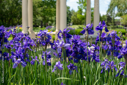 St Clare Shores Park
