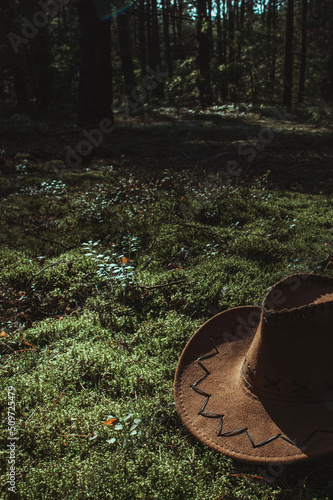 Cowboy western hat is lying on moss in sunny day in forest