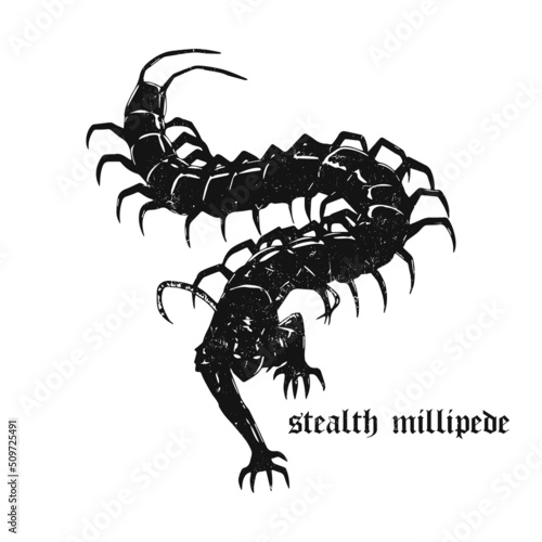 Leinwand Poster spooky centipede stealth illustration vector