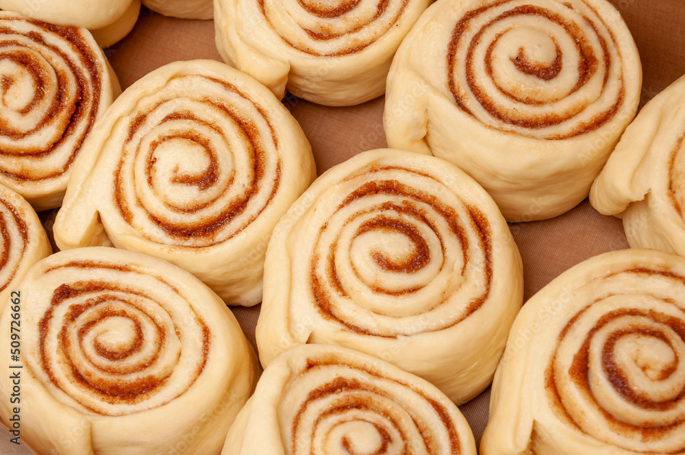 Blanks of cinnamon rolls dough are on greased parchment paper. Blanks of cinnamon rolls dough are on greased parchment paper.