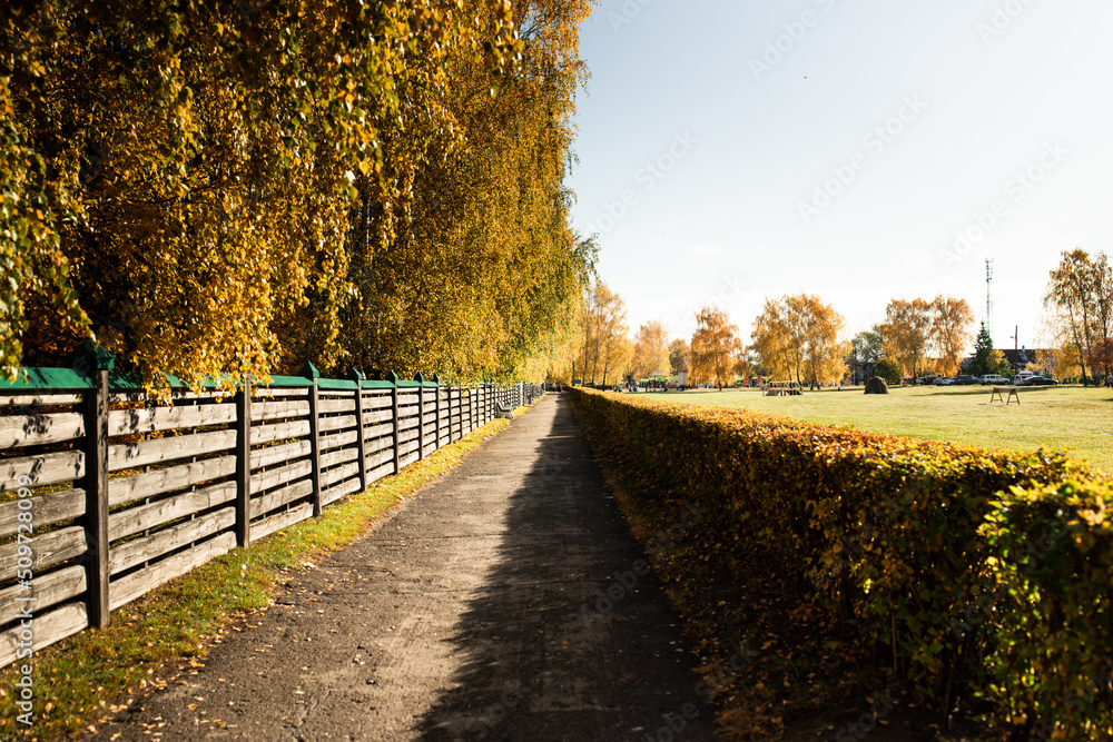 Naklejka premium A picturesque road in an autumn park. Front view.