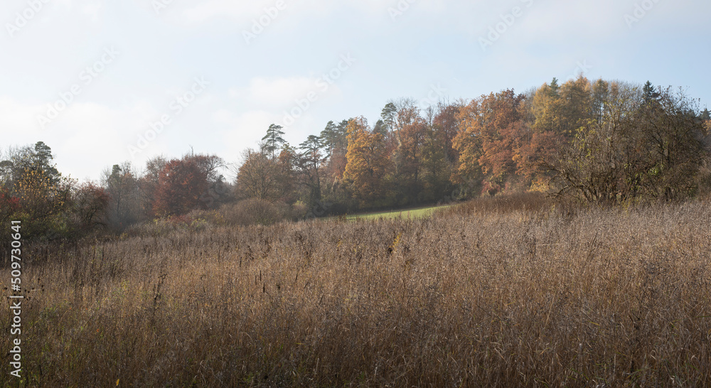a hilly autumnal landscape in swabian alb