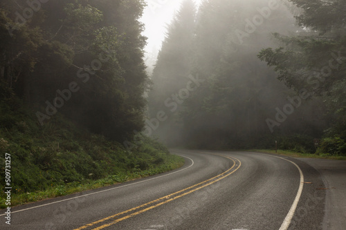 Fog covers a highway passing through Olympic National Park, Washington