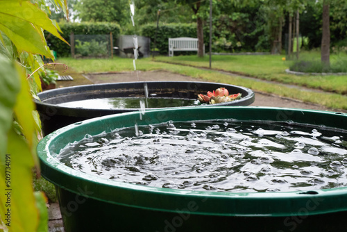 Regenwasser für den Garten - Regentonne - Wasser sammeln