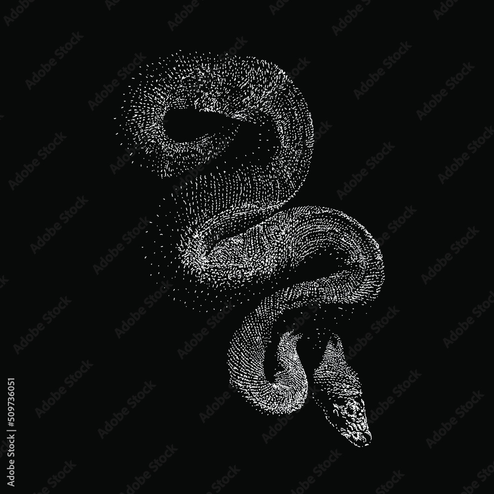 Banana Ball Python hand drawing vector illustration isolated on black