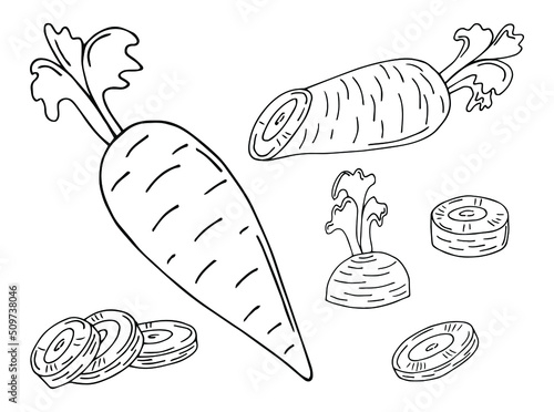 Set of black and white illustrations of garden carrots hand drawn sketch set of vector carrot , leaves for web design.