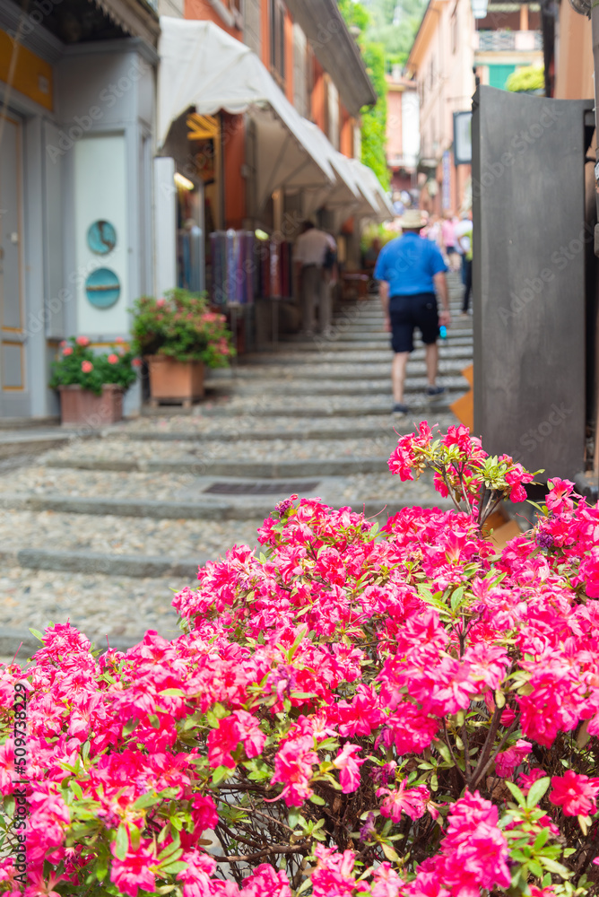 Beautiful pink flowers in a narrow alley with cobblestone ground of Bellagio, Lake Como, Italy. Tourists walking in the blurred background. Selective focus.