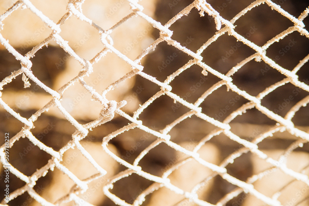 Metal mesh background. The texture of the dust on the grid. Abstract shadows in the background. Sunlight. Metal mesh background. The texture of the dust on the grid. Abstract shadows in the background. Sunlight.