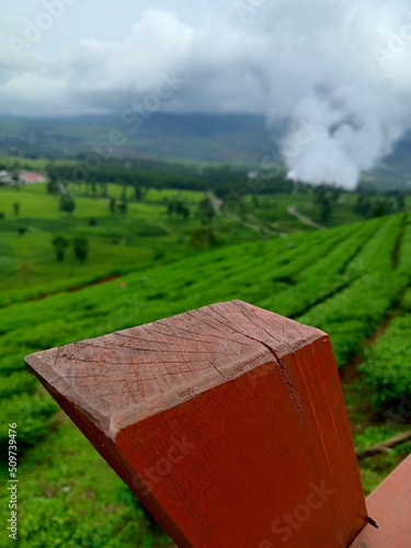 landscape of the mountains