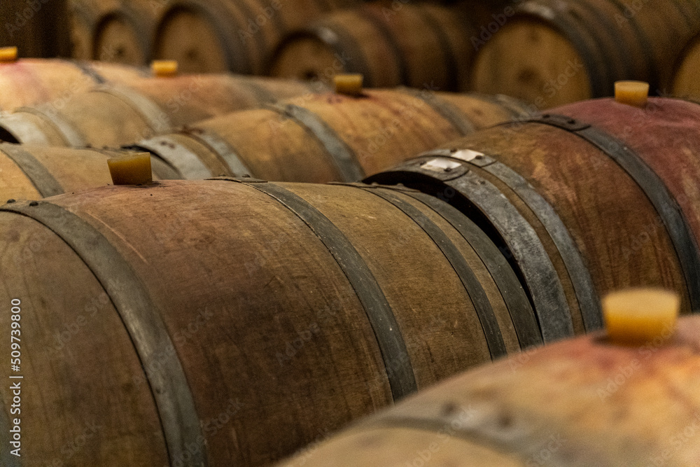 Wine in wooden barrels is stored. Wine cellar