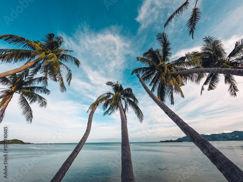 Beaches and coconut palms on a tropical island