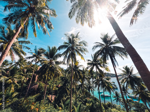 Beaches and coconut palms on a tropical island